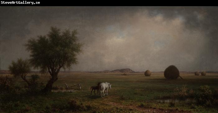 Martin Johnson Heade Mare and Colt in a Marsh